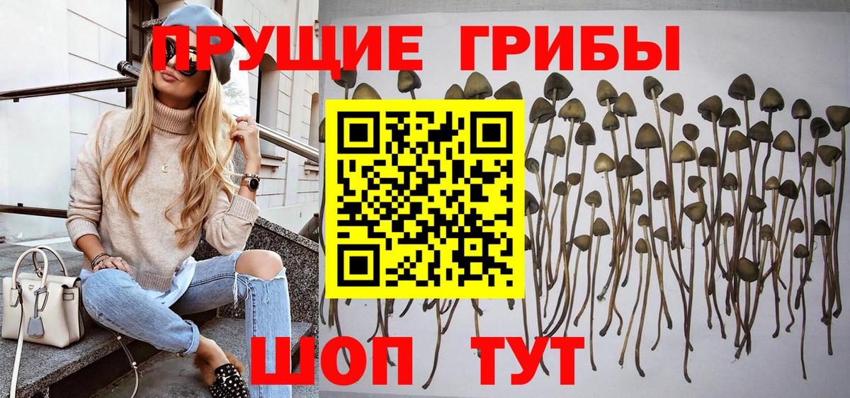 Галлюциногенные грибы мицелий Новозыбков