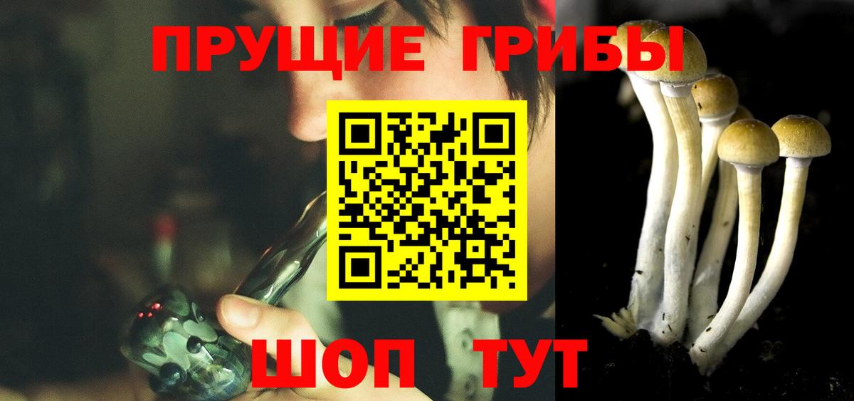 Новозыбков  Галлюциногенные грибы Cubensis  Псилоцибиновые грибы мухоморы  Вход с VPN 